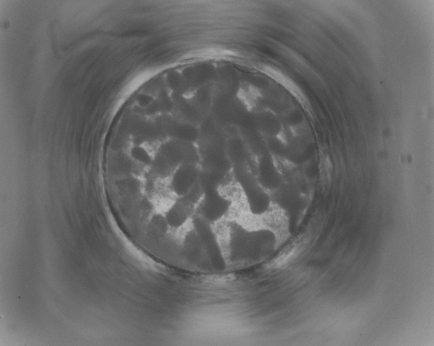 X0000076061055200610152158