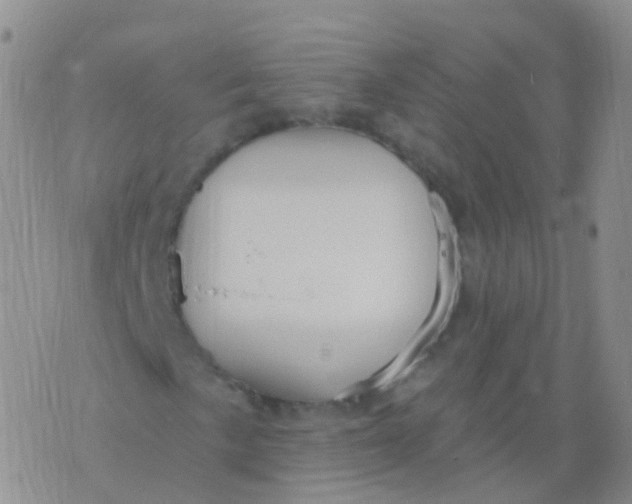 X0000076061057200610152157