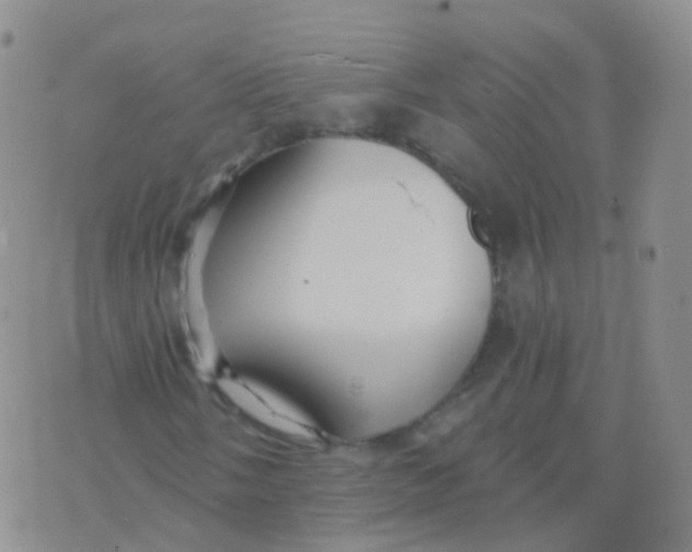 X0000076061058200610152157