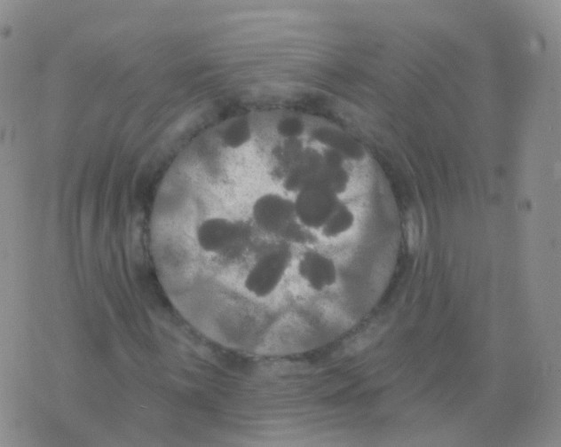 X0000076061059200610152157