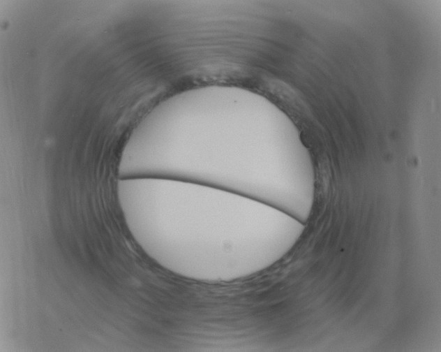 X0000076061060200610152157