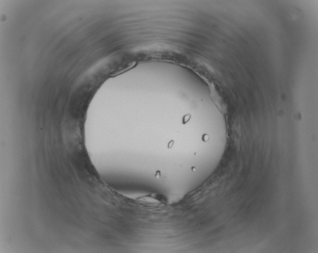 X0000076061062200610152157