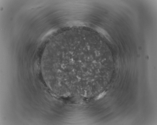 X0000076061063200610152157