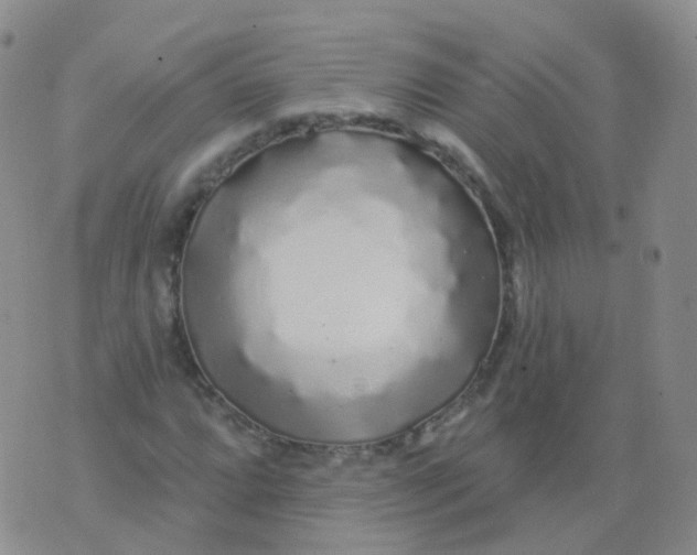 X0000076061064200610152157