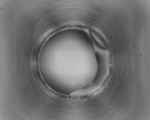 X0000076061065200610152157