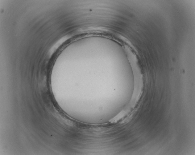 X0000076061066200610152157