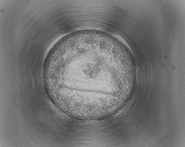 X0000076061068200610152157