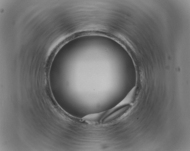 X0000076061069200610152157