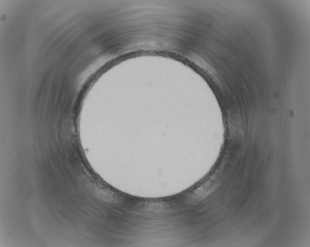 X0000076061070200610152157