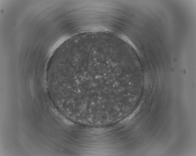 X0000076061071200610152157