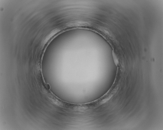 X0000076061073200610152157