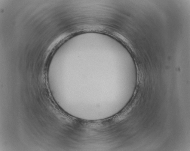 X0000076061074200610152157