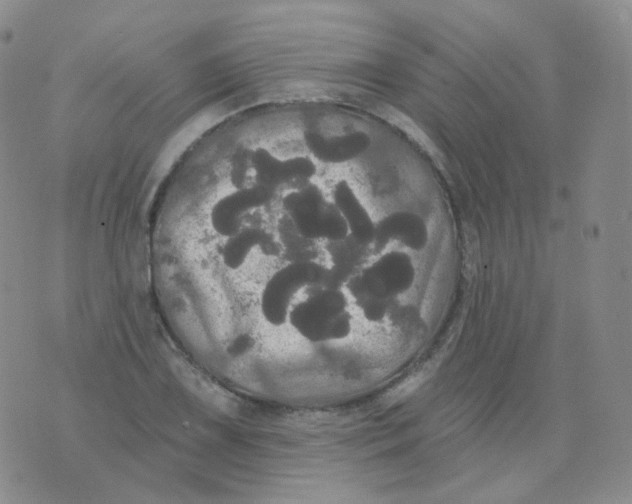 X0000076061075200610152156