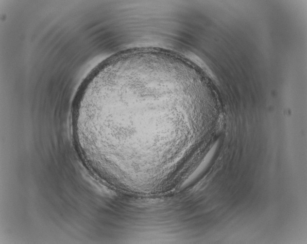 X0000076061076200610152156