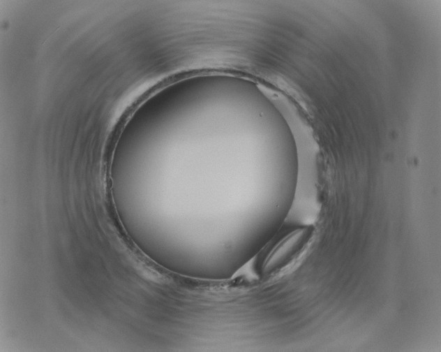 X0000076061077200610152156