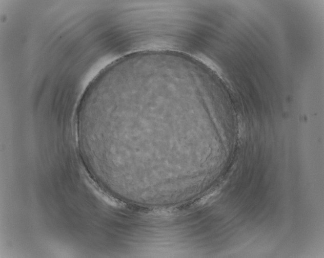 X0000076061078200610152156