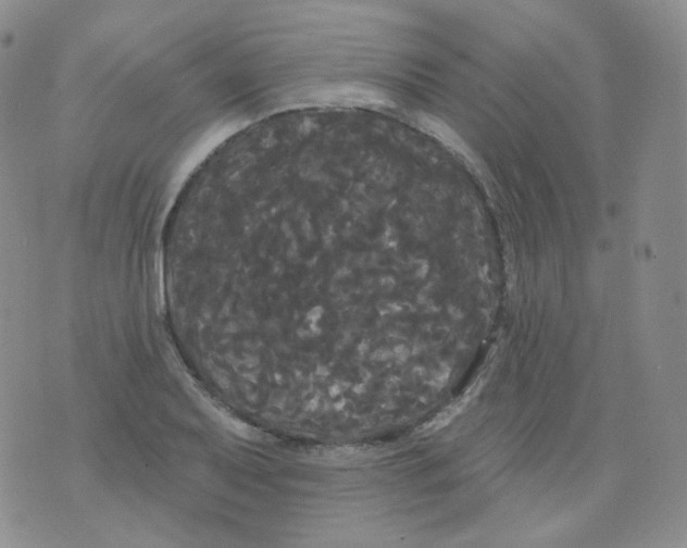 X0000076061079200610152156