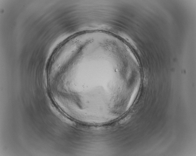 X0000076061080200610152156