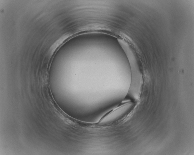 X0000076061081200610152156