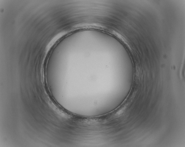 X0000076061082200610152156