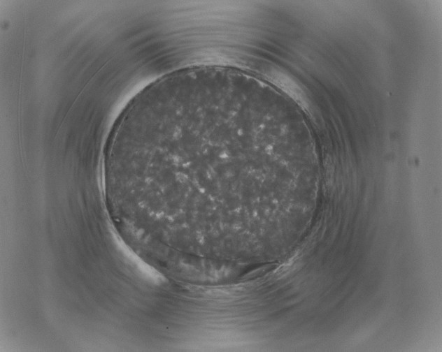 X0000076061084200610152156