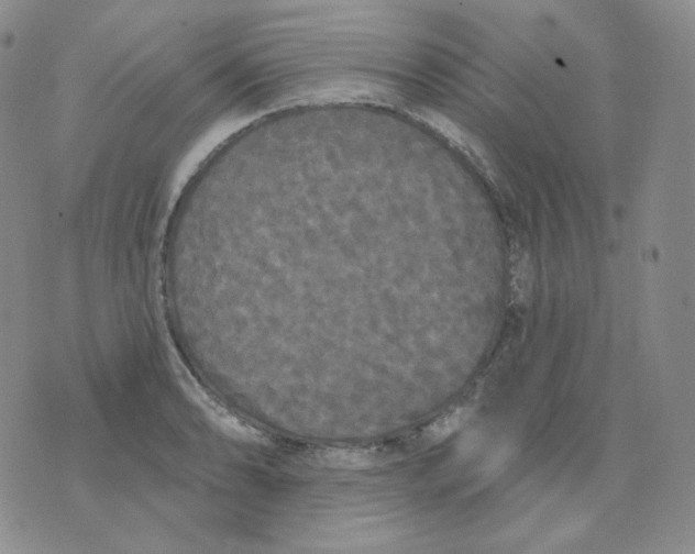 X0000076061086200610152156