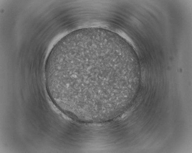 X0000076061088200610152156