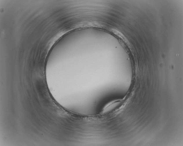 X0000076061089200610152156