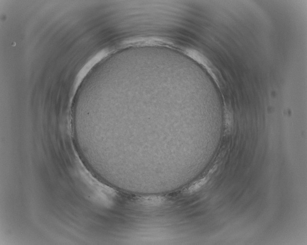 X0000076061090200610152156