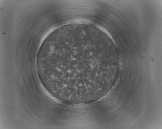 X0000076061091200610152156