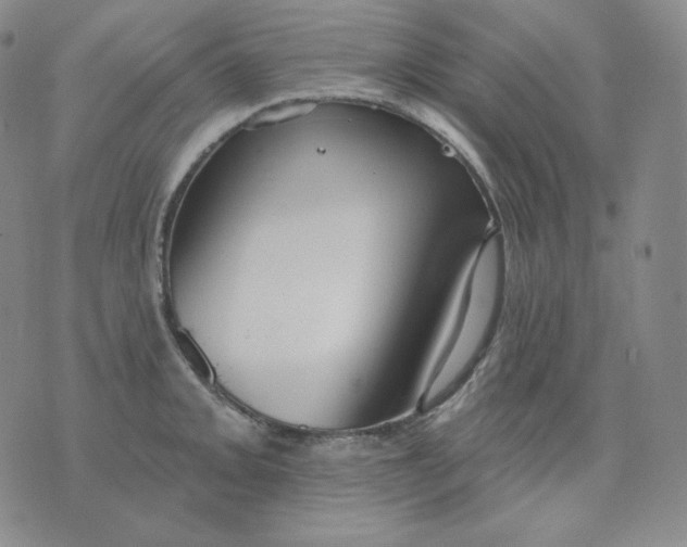 X0000076061093200610152156