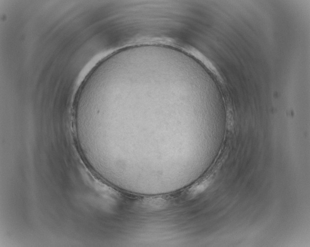 X0000076061094200610152156