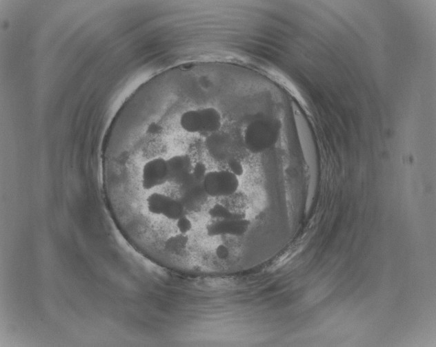 X0000076061095200610152156