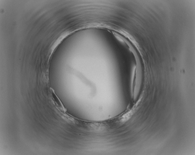 X0000076061097200610152156