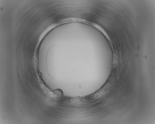 X0000076061098200610152156