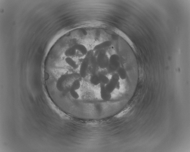 X0000076061099200610152156