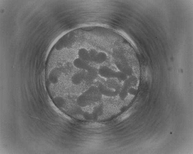 X0000076061100200610152156