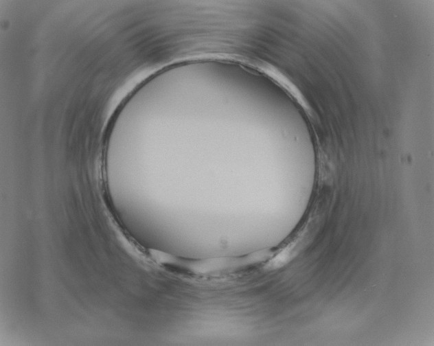 X0000076061101200610152156