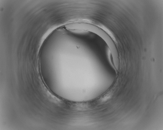 X0000076061102200610152156