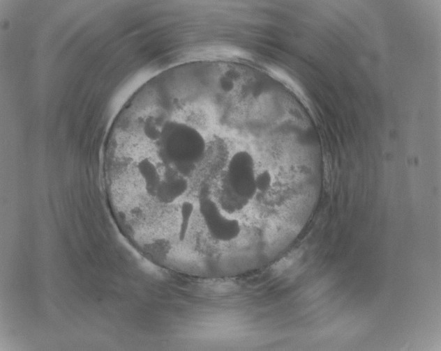 X0000076061103200610152156