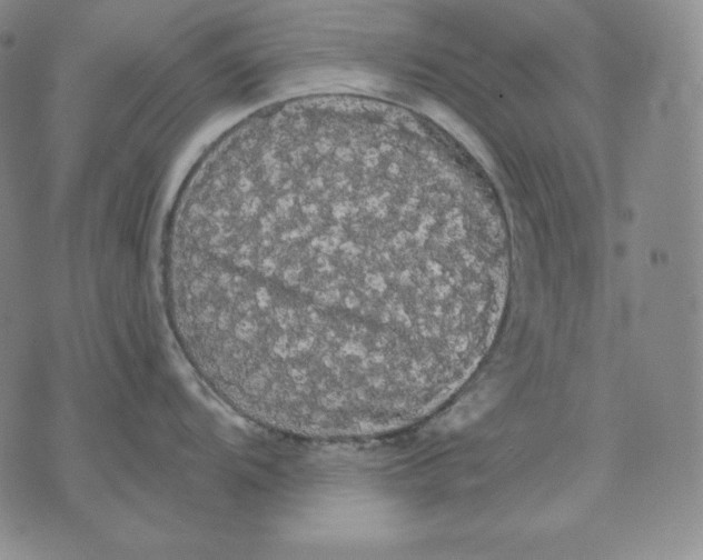 X0000076061104200610152156