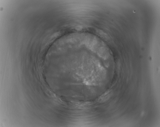 X0000076061105200610152155