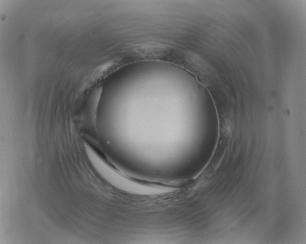 X0000076061108200610152155