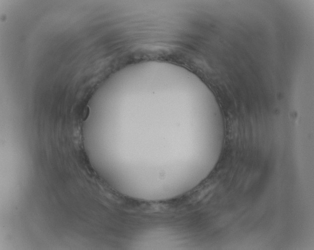 X0000076061109200610152155