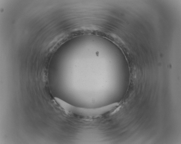 X0000076061110200610152155