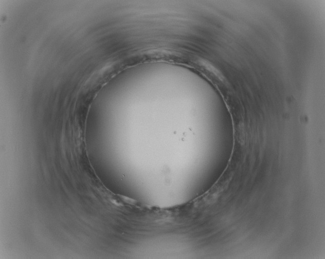 X0000076061111200610152155