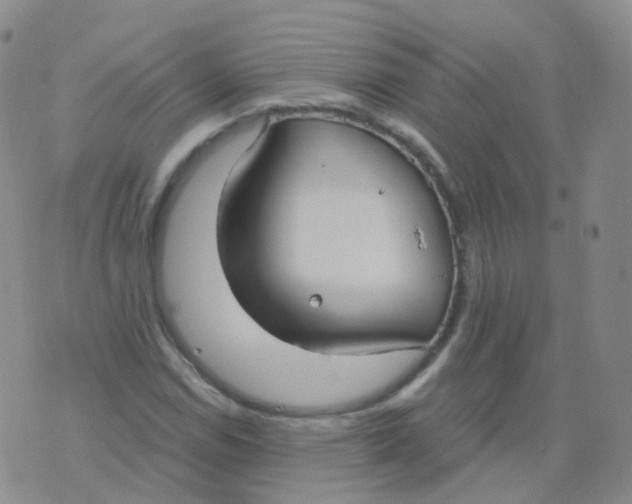 X0000076061114200610152155