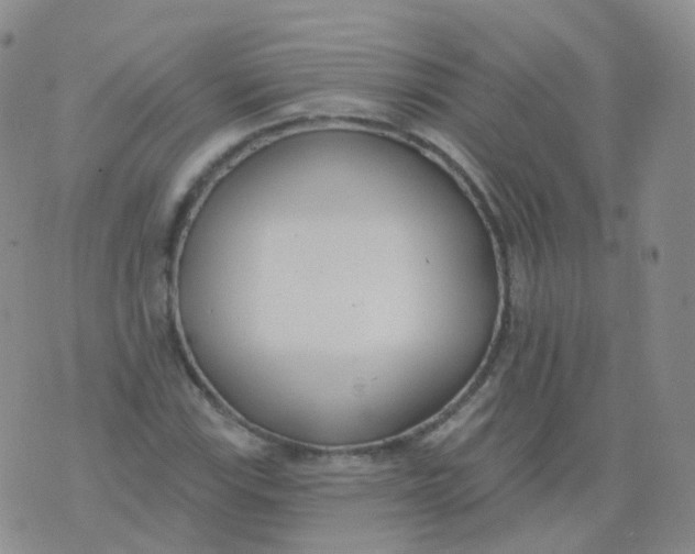 X0000076061115200610152155