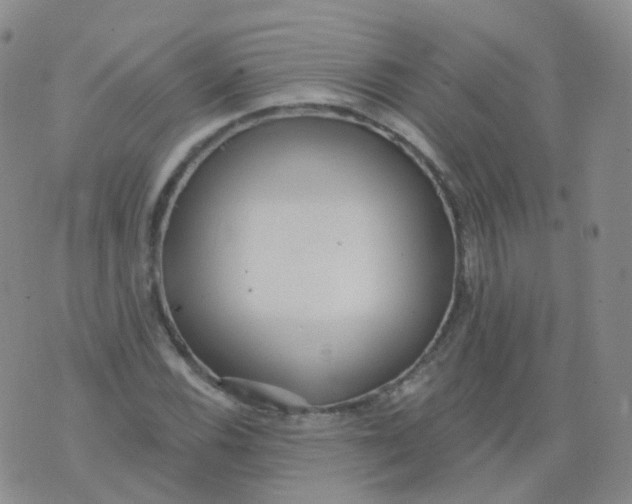 X0000076061116200610152155