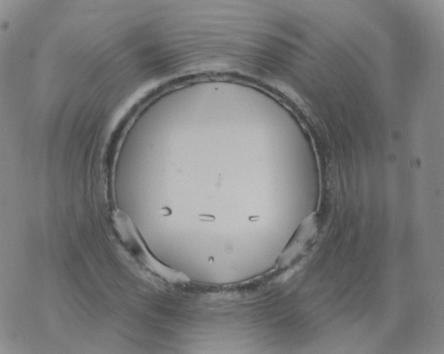 X0000076061118200610152155